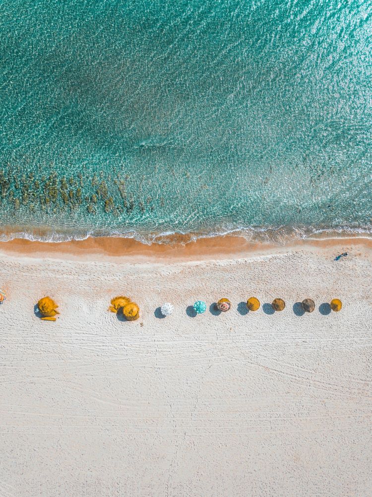 overhead shot of beach