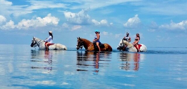 riding horses in water
