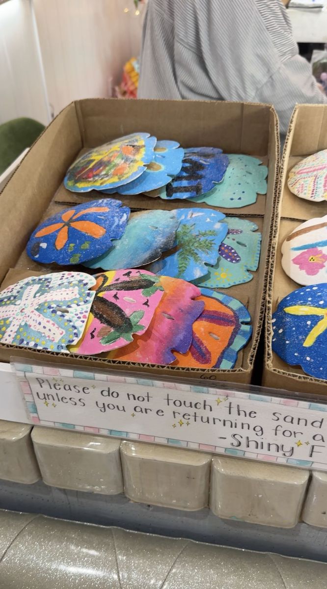 Painting sand dollars indoor activity on Anna Maria Island