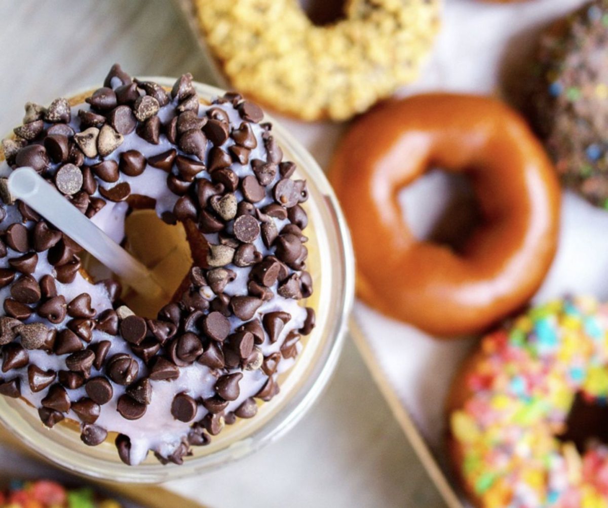 Donut experiment anna maria