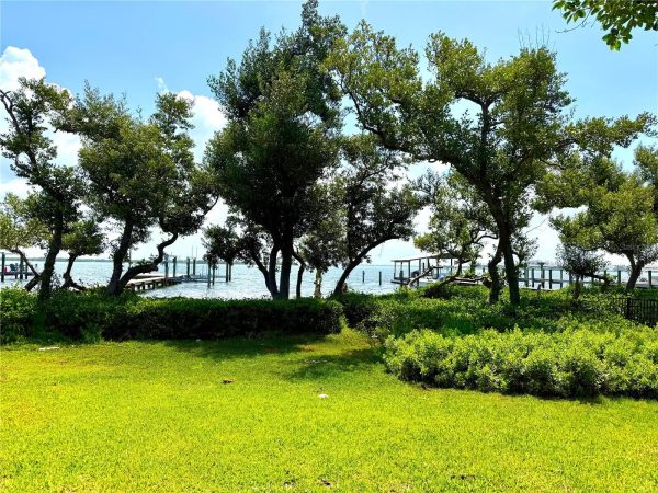 Lakeside park with green grass, trees, and a wooden dock by calm water under a blue sky