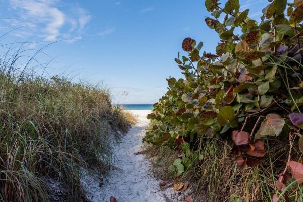 Sandy path between dune grasses leading to a blue ocean under a clear sky