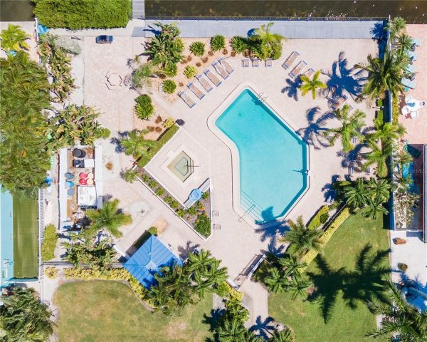Aerial view of a resort pool area with a curved, turquoise pool, lounge chairs, and palm trees surrounding the deck.